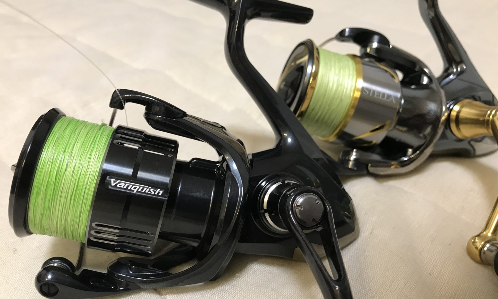 海外限定 19ヴァンキッシュ3000mhg 新品 リール Www Hallifornia Se