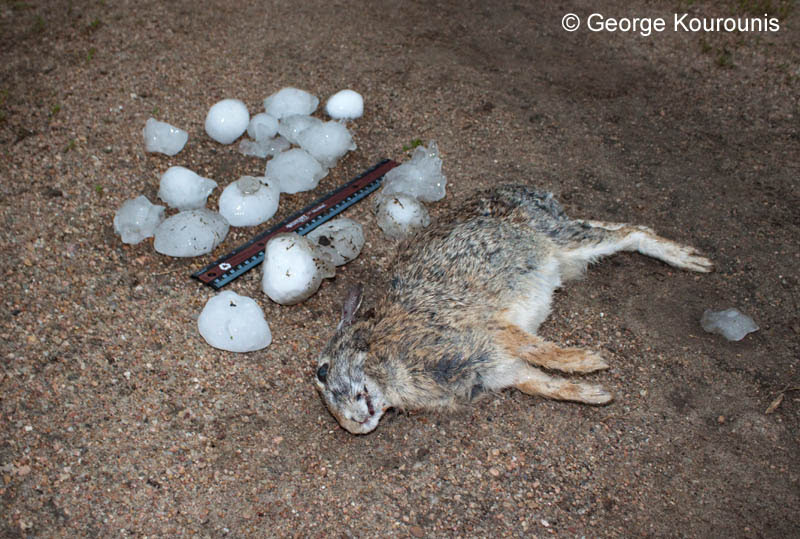 Most hailstone, include hail in the size of a golf ball, baseball, tennis ball, softball, etc. 2011 Hail Storms