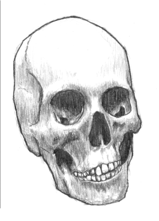 美しい花の画像 最高のドクロ イラスト リアル