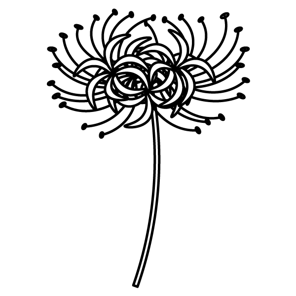 ロイヤリティフリー白黒 彼岸花 イラスト フリー 美しい花の画像