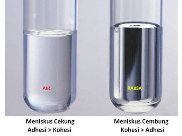 Contoh Judul Skripsi Satu Variabel - Contoh Yes