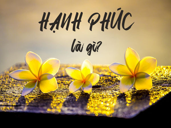 di-tim-hanh-phuc-ca-doi-nhung-nhieu-nguoi-van-chua-hieu-hanh-phuc-la-gi-voh