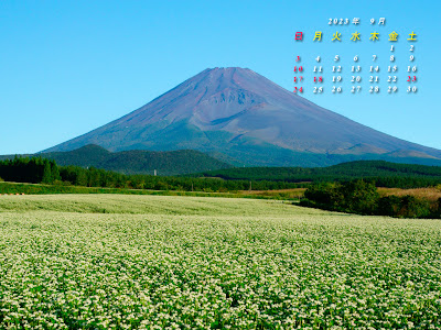 すべての花の画像 Yamaha 壁紙 カレンダー