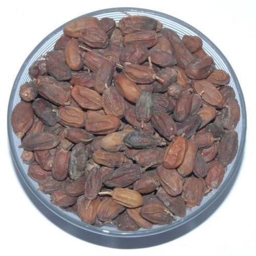 Set up a fan to ensure good air movement and prevent disease. Tree Seeds Neem Tree Dried Seeds Azadirachta Indica Lilac Herb Plant Miracle Choose Qty Home Garden