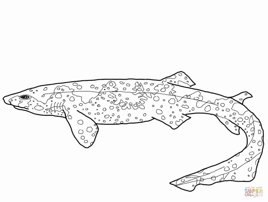 Whale Shark Coloring Page