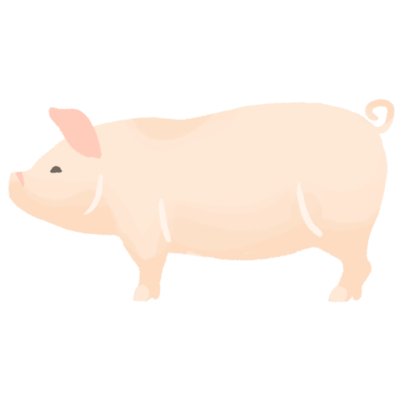 Hd限定豚 イラスト フリー 商用 美しい花の画像