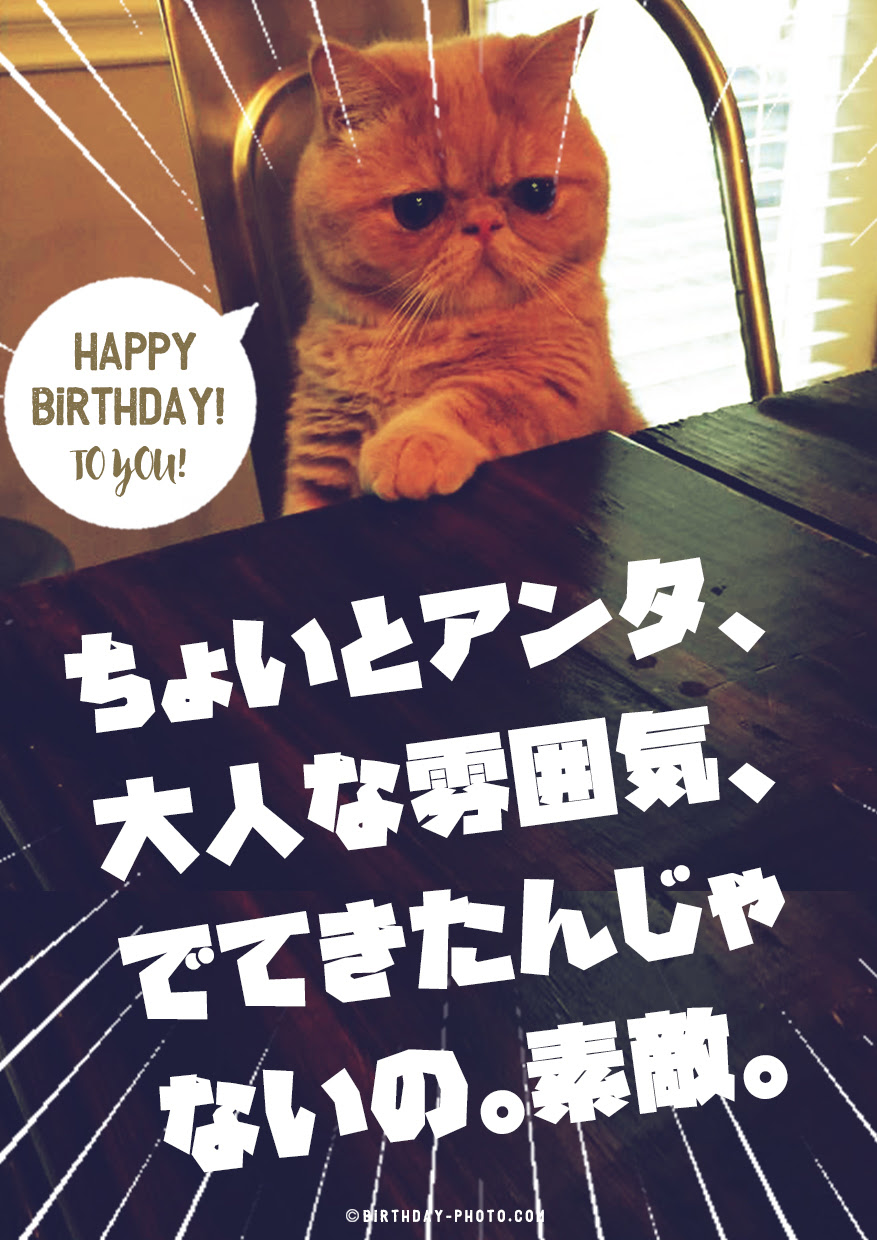 すべての動物画像 75 誕生日 メール 面白い
