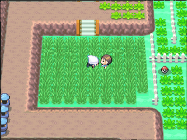 綺麗なポケモン 214番 すべてのぬりえ