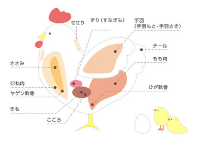 これまでで最高の鶏肉 イラスト 最高の動物画像