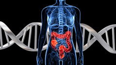 a body with the colon highlighted and DNA in the background