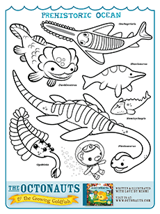 We did not find results for: The Octonauts Activities