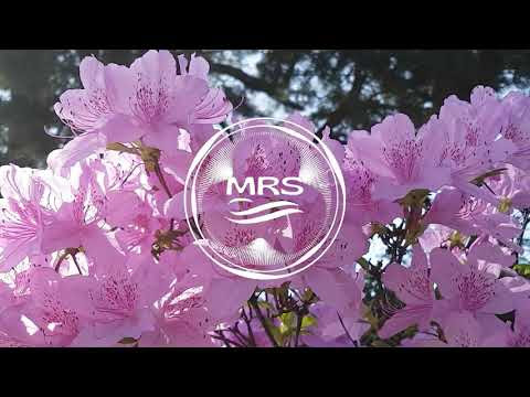 Sejam todos bem vindos a página música relaxante. Download Musica Relaxante One Love Emotional Piano By Serjo De Lua Musica Para Dormir Estudar E Meditar Youtube Thumbnail Create Youtube