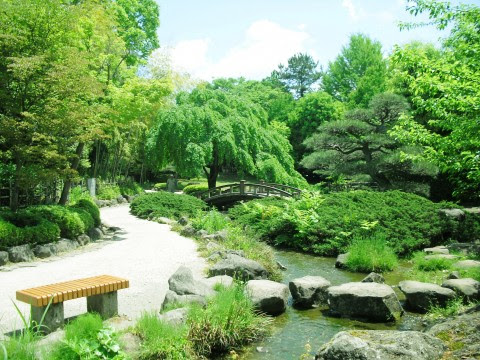 最新和風 庭園 日本 庭園 イラスト 動物ゾーン