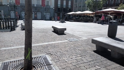 Madrid reivindica las 110 plazas para residentes en Santa Ana y que se talarán