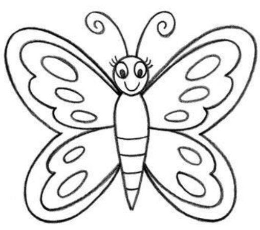  gambar  kolase  kupu  kupu  Gambar  Kolase  Kupu  Kupu  Dan Bunga