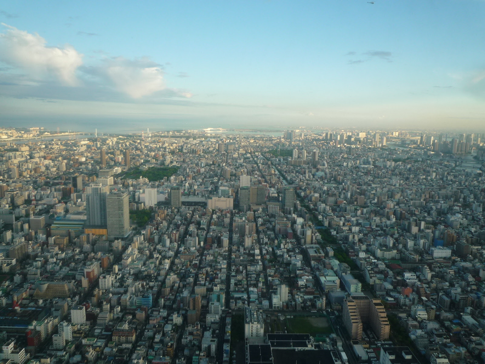 現代の髪型 新鮮なスカイ ツリー から の 景色