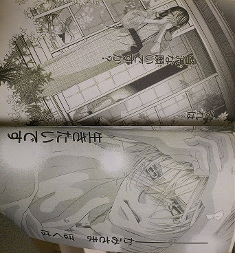 ダウンロード済み 僕の初恋をキミに捧ぐ 漫画 ラスト 猫 シルエット フリー