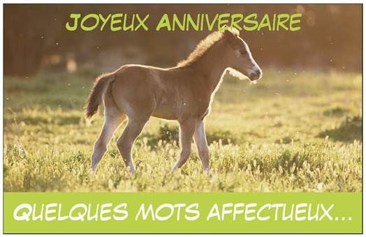 Poeme Image Texte Anniversaire Pour Son Petit Fils De 10 Ans