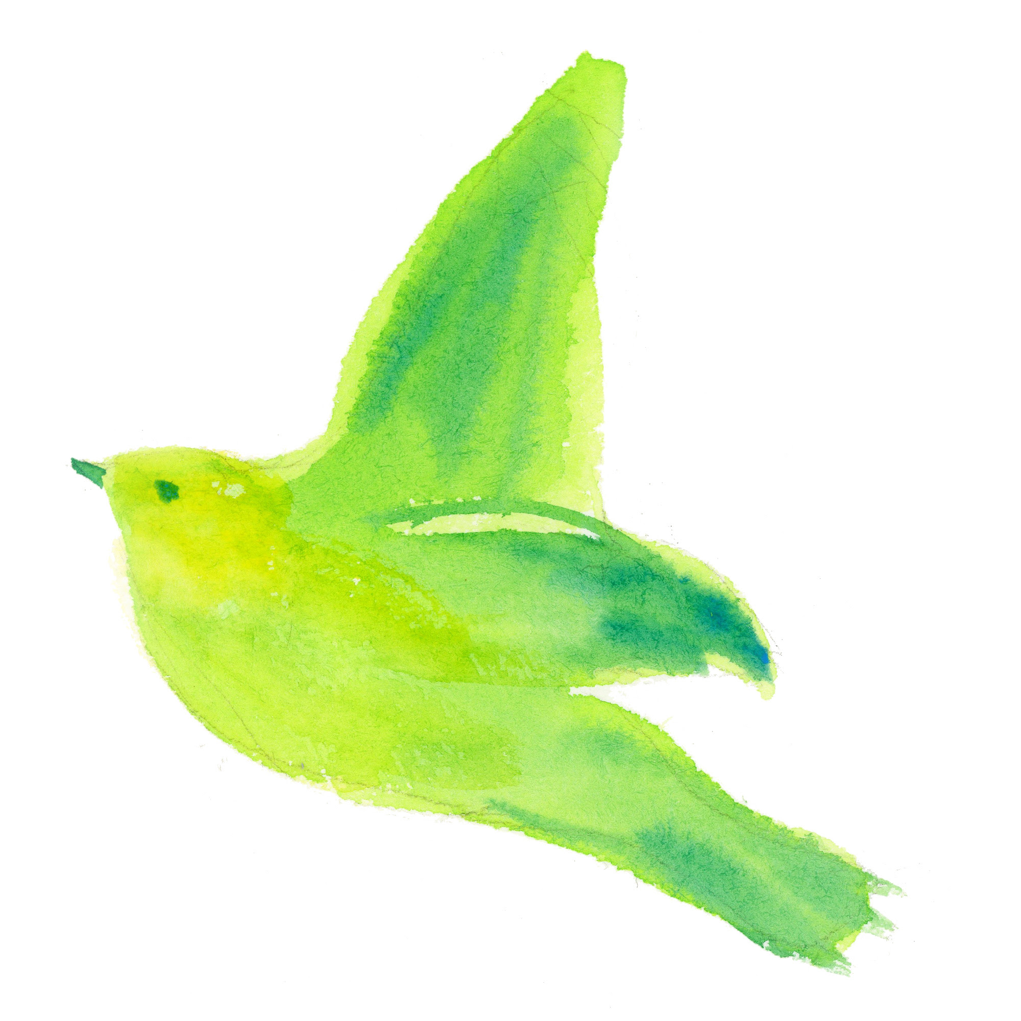 羽ばたく鳥 飛ん でる 鳥 イラスト 簡単 6590 Josspicturelb5dt