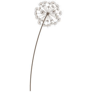 美しい花の画像 75 たんぽぽ イラスト