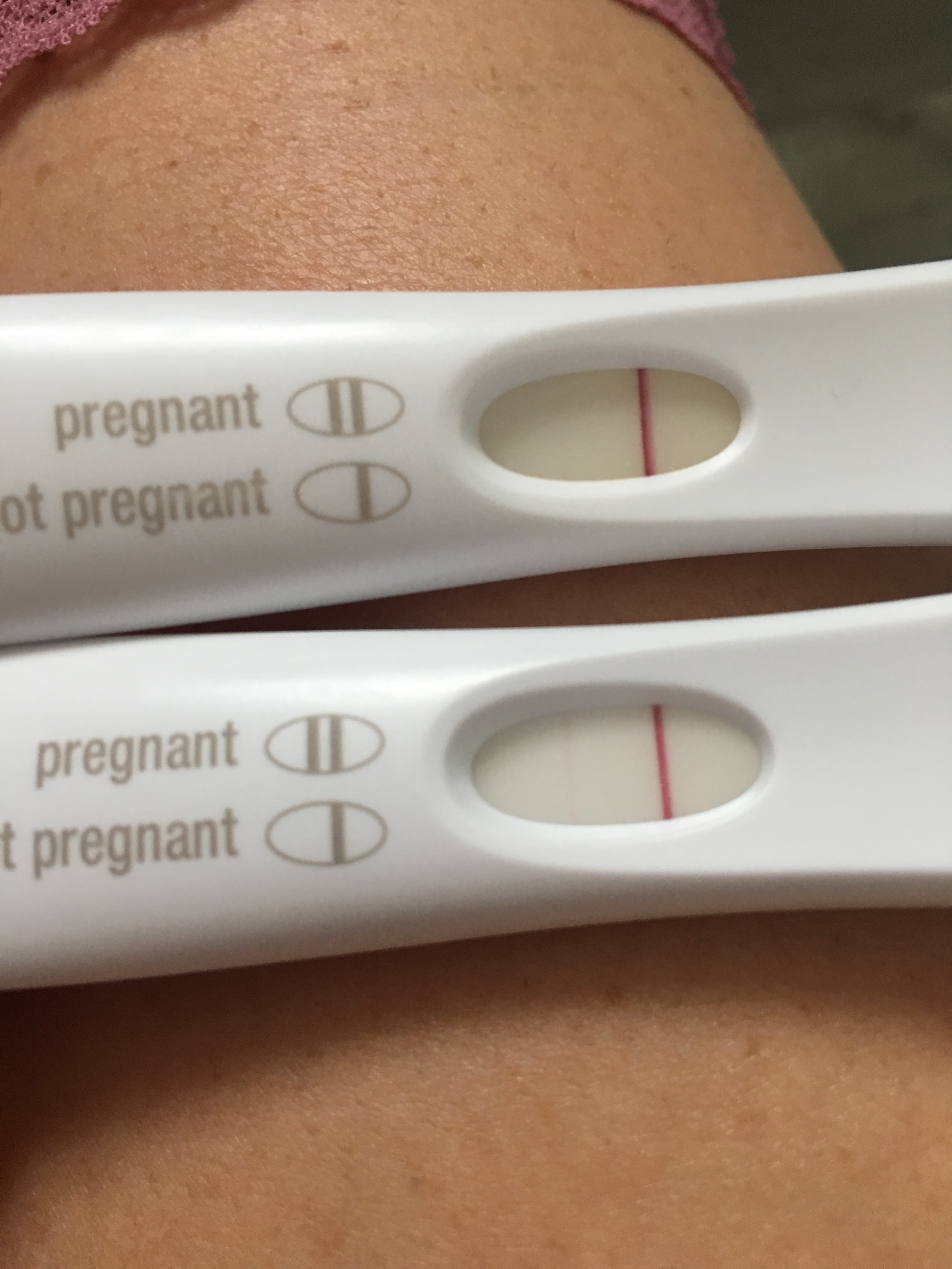 Chance Of False Positive Pregnancy Test First Response - PregnancyWalls