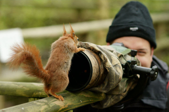 Nature                                                          Photographer