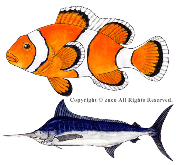 無料ダウンロード 魚 リアル イラスト 興味深い画像の多様性