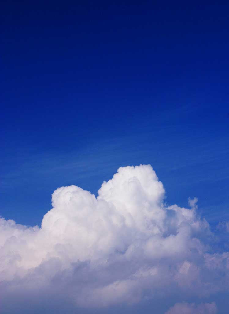 綺麗な入道雲 壁紙 最高の花の画像