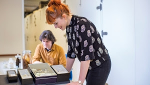 Scientists looking at specimens