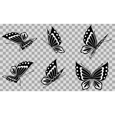 ぜいたく白黒 かっこいい 蝶 イラスト ディズニー帝国