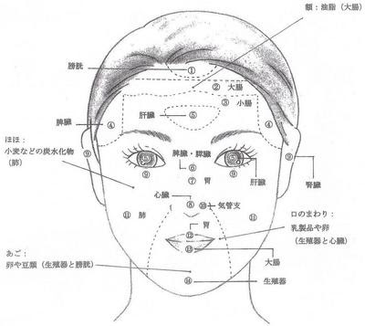顔 パーツ 顔面 部位 名称 2754