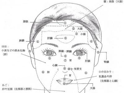 画像をダウンロード 顔 パーツ 名前 118188-顔 パーツ 顔 部位 名前