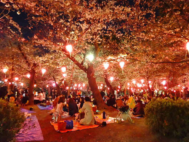 75 鶴舞 公園 花 まつり すべての美しい花の画像