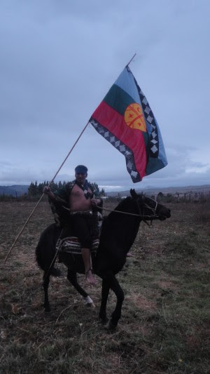 mapuche