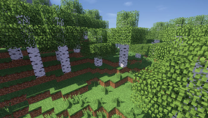 すごい マイクラ 白樺の森 マインクラフトの最高のアイデア