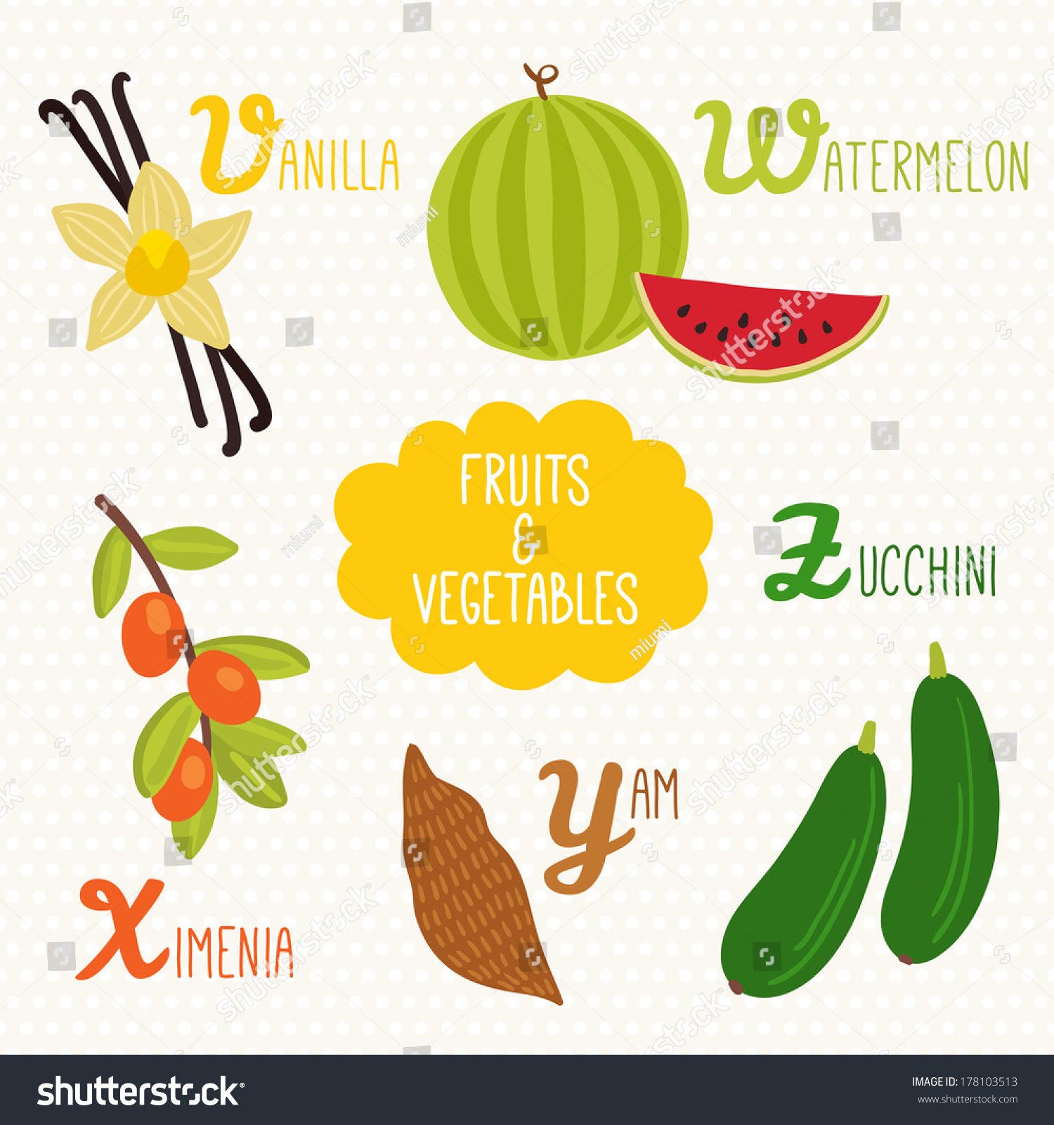 Vegetable Beginning With D - English Lessons