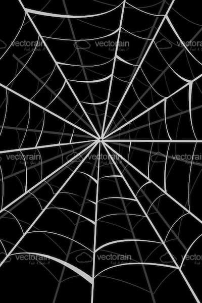 Find the perfect spider web white background stock photos and editorial news pictures from getty images. Spider Web Background In Black And White Vectorjunky Free Vectors Icons Logos And More