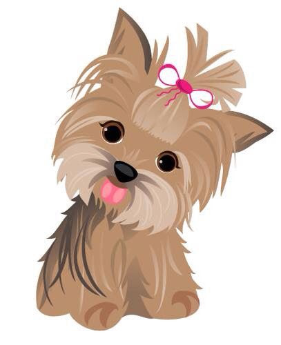 A cute adult coloring books for yorkie owner, best gift for dog lovers it's was made for yorkshire terrier addicts, by yorkshire terrier addicts or someone who just likes to relax coloring yorkie in floral & mandala style with heartwarming quotes makes the perfect gift for your friends who are pet lovers. Yorkie Clipart Clip Art Library