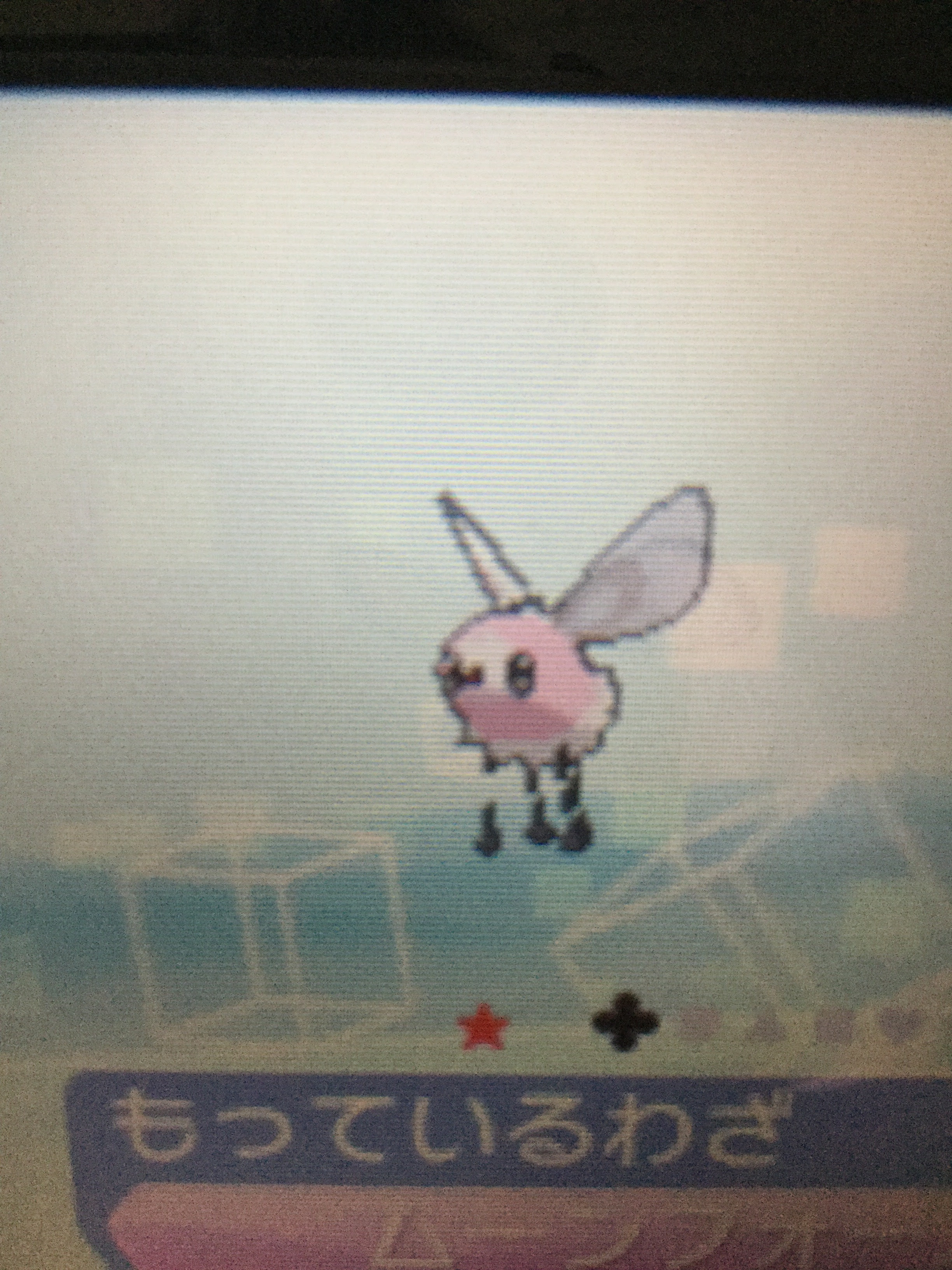 かわいいディズニー画像 75 ポケモン サンムーン アブリー
