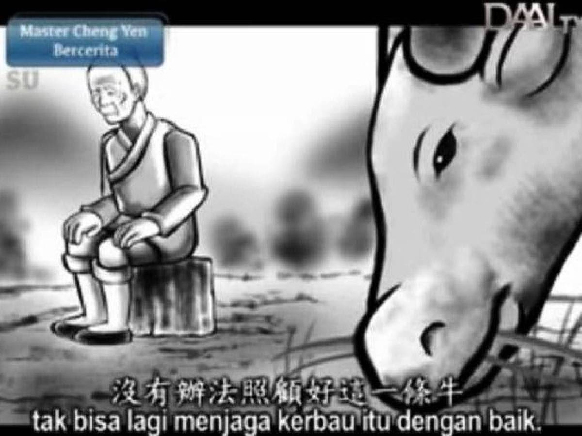 Ada seorang bapak tua yang bekerja sebagai petani. Petani Tua Dan Kerbau Yayasan Buddha Tzu Chi Indonesia