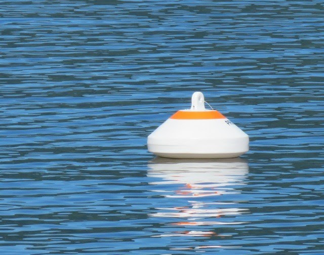 Maybe you would like to learn more about one of these? Mooring Buoy Info Lake Windermere Ambassadors