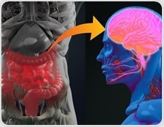 Gut-Brain Axis and Neurodegenerative Disorders