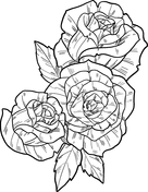But also in nature, they delight our hearts in every season. Roses Coloring Pages Free Coloring Pages