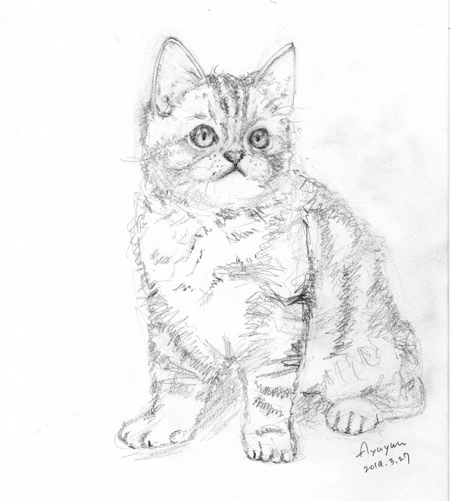 選択した画像 手書き 犬 イラスト リアル 鉛筆 Jokiotelublogimg