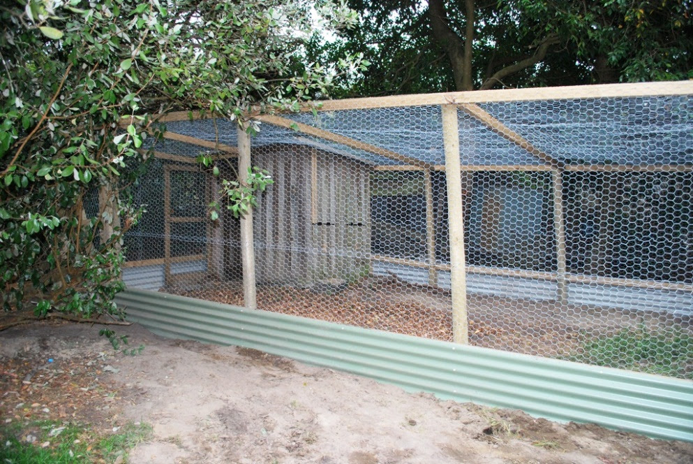 How To Build A Chook Pen ~ DIY Chicken Coop from Plans