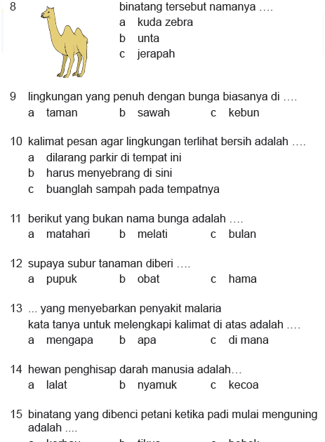Soal Bahasa Indonesia Kelas 11 Semester 2 Dan Kunci Jawaban - Kanal Jabar