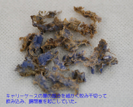 すべてのカタログ 立派な 犬 誤飲 プラスチック