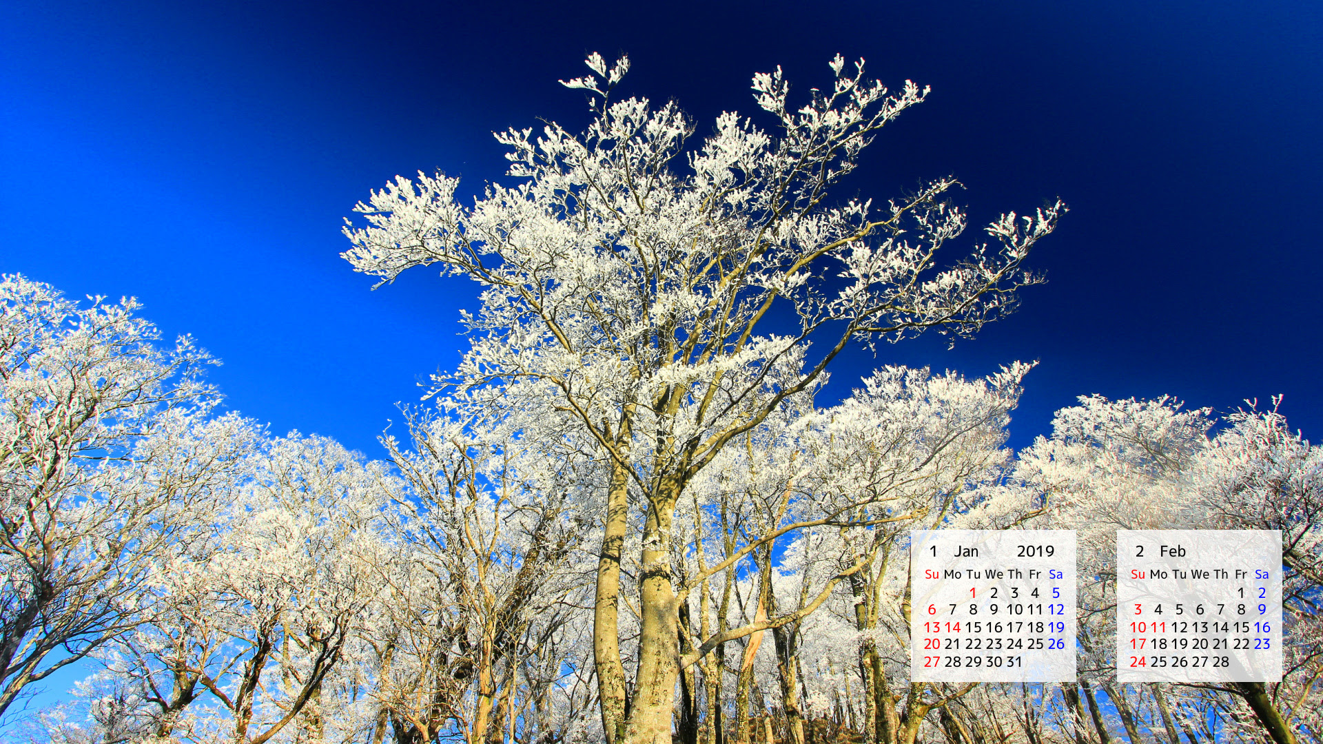 100 4月 壁紙 Jpbestwallpaper