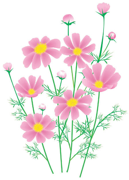 美しい花の画像 新鮮な10月 花 イラスト
