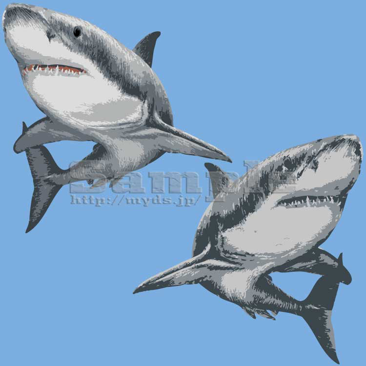 元のリアル 簡単 サメ イラスト ディズニー画像のすべて